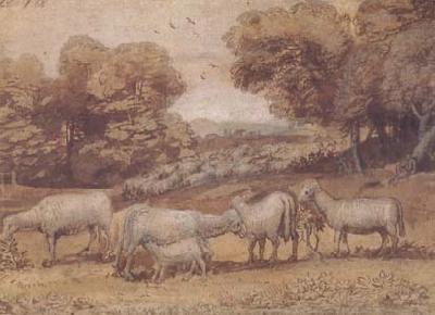 Claude Lorrain Landscape with Sheep (mk17) oil painting image